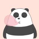 1qzy4c96x17wwcqg-HB
