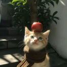 Beverly_Lueilwitz47