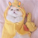 1qeh1z0nymu6uh3w-HB