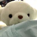 溪亭25831
