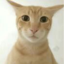 ～293