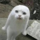 6biihaoetTPJm0g-HB