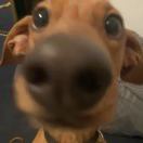 1qvwtkve7uql00mA-HB