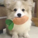 清川08598