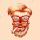 1r9nidd61sir7c4A-HB