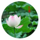 繁兴摄影13154297416