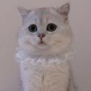 👣请叫我👉半仙