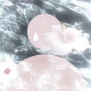 THEMIS水淼金