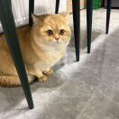 妖孽安敢乱我道心