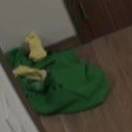 윤쫑쫑