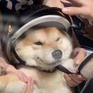 行～星
