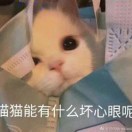 旭小逸