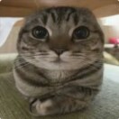 陈逢遥