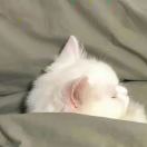 1qnya4uwhtDjMqBA-HB