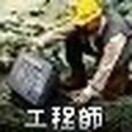 陶涛p