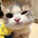 意时逢