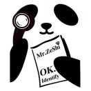 择石先生