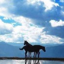 w没回复电话