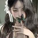 荔枝芋