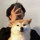 1qrot3d4jeBIOWew-HB