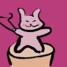 橙皮兔