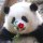 GD801528932
