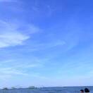 FT-刘迎