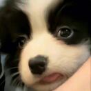 1q9ax3fh9j196shjd-HB