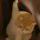 1q18ofq9sf2g1p3uu-HB