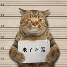 1qw8takkzlfh__-g-HB