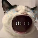 1qibvtowvfjw-KLw-HB