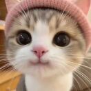Amoremomo