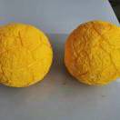 GD769873666
