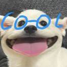 1qah4smlyjqu1k9d-HB