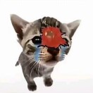 怜续唉