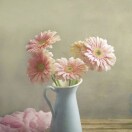 1r68ir8g7tMdGelQ-HB
