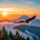 1qpwx0653af-vfqw-HB