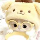 H꧞･ᴗ･ui