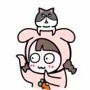揭菲