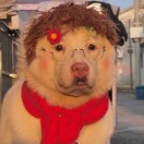 臭宝要努力