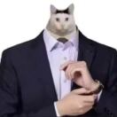 翻车俞