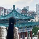 似动似静·摄影美工工作室