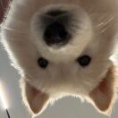 費贝贝🐑