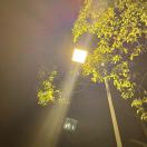 1q2jnytplg226racp-HB