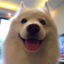 赵保珉