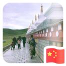 鱼爱泡泡