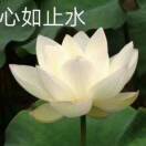 王仁族