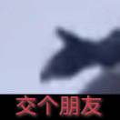 青临84791