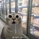 不远似月光