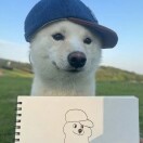 庄博超